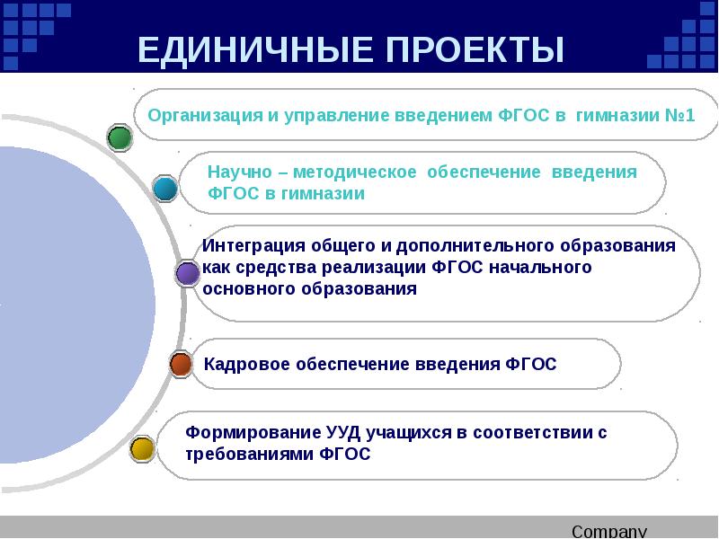 Единичные проекты. Единичный проект. Введение ФГОС. Стандарты по управлению единичным проектом.