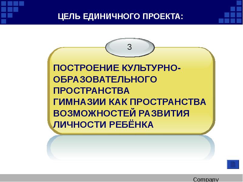 Единичные проекты. Единичный проект.