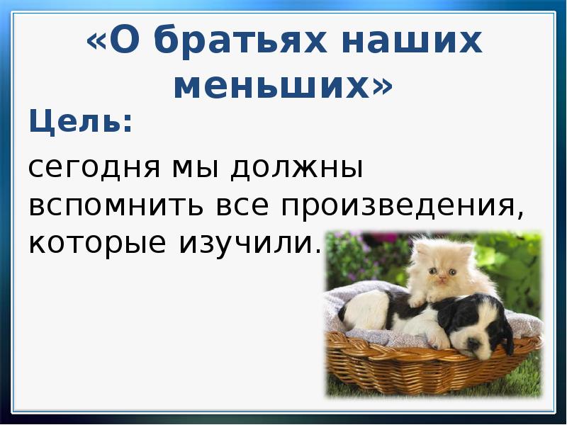 Проект братья наши меньшие