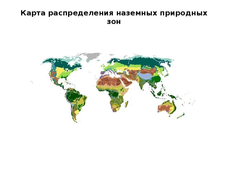 Зоны земли. Карта распределения наземных природных зон. Природные зоны на глобусе. Распределение природных зон. Природные зоны земли карта для детей.