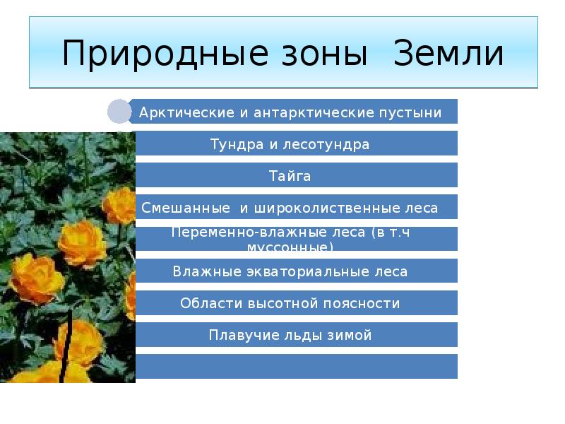 Урок географии 6 класс природные зоны земли презентация