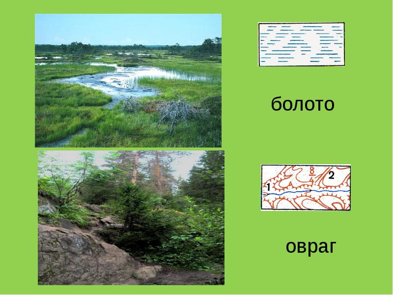 Болото на плане местности. Торфяники на плане местности. Изображение болота на плане местности. Овраг на плане местности. План болота.
