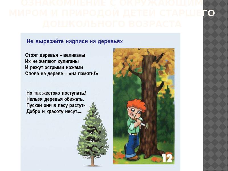 Ознакомление с природой. Ознакомление с окружающей природой. Ознакомления дошкольников с окружающим миром и природой. Презентация на тему ознакомление с окружающим миром. Ознакомление с окружающим миром тезис.