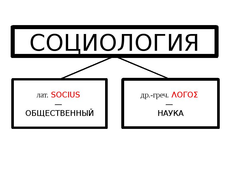 Презентация социология как наука