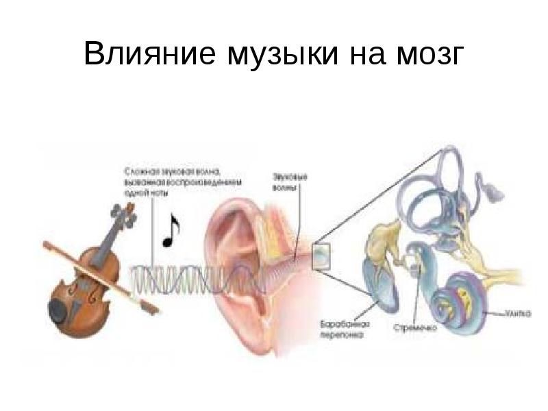 Влияние музыки на мозг