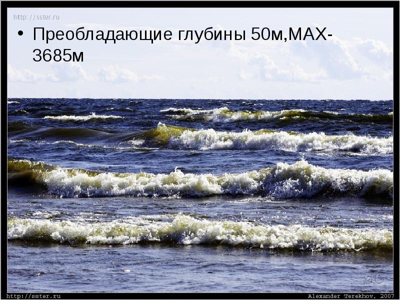 Море лаптевых презентация