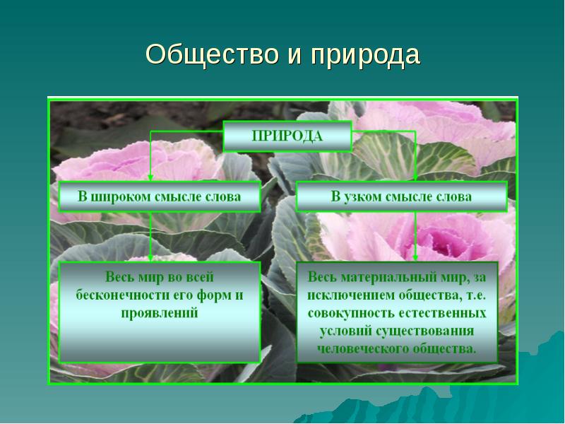 Презентация по географии 7 класс взаимодействие человеческого общества и природы