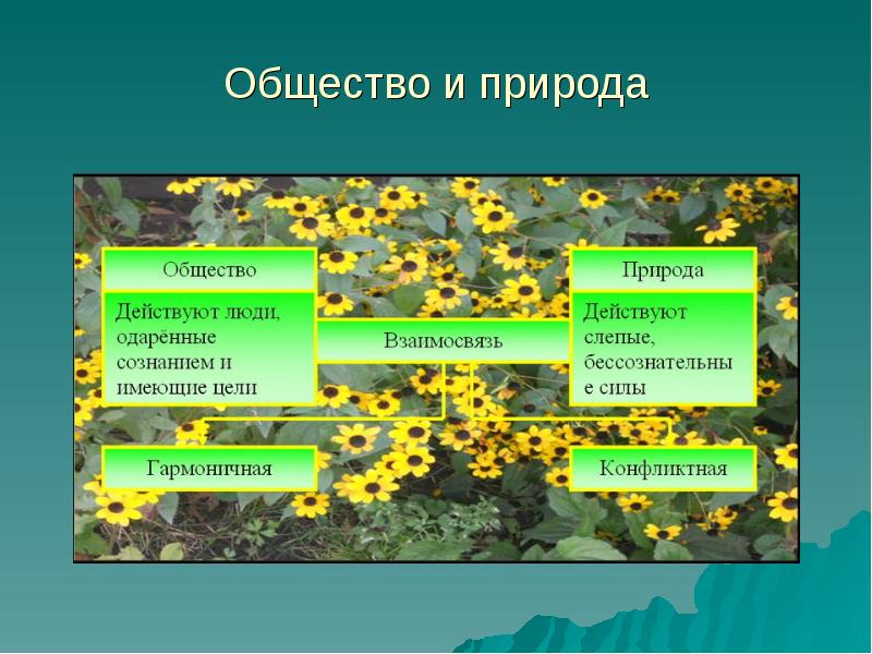 Презентация по обществознанию 10 класс