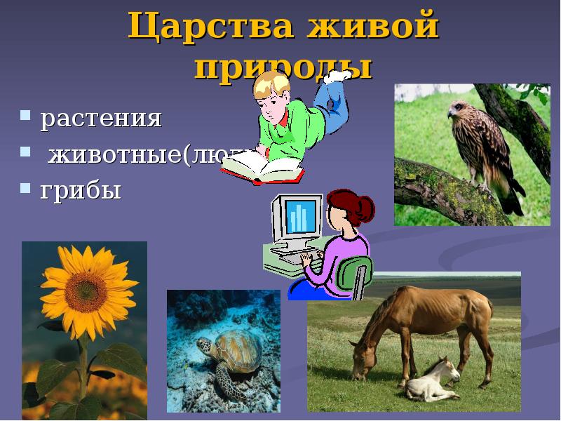 Проект живая природа