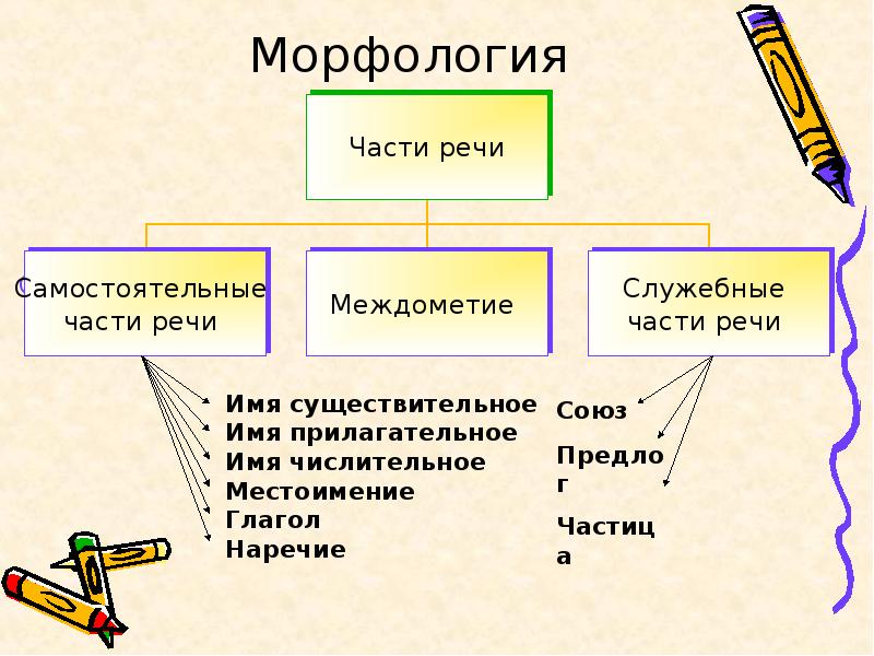 Повторение по теме морфология 6 класс презентация