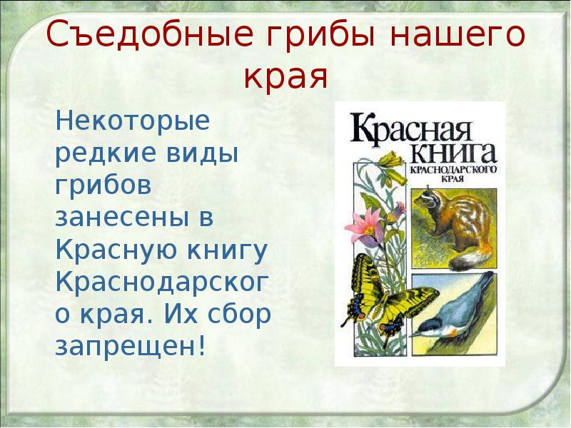 Красная книга краснодарского края презентация кубановедение 1 класс