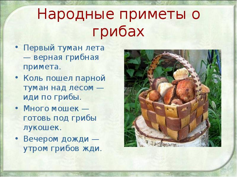 Грибы для дошкольников фото - Coffeebull.ru