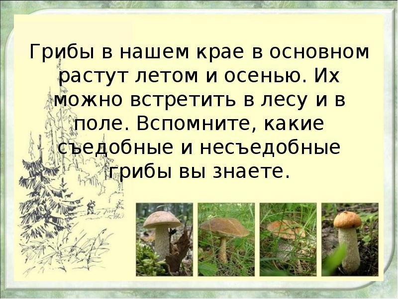 Презентация грибы. Презентация на тему съедобные грибы. Презентация на тему съедобные и несъедобные грибы. Сообщение на тему съедобные и несъедобные грибы. Презентация сбор грибов.