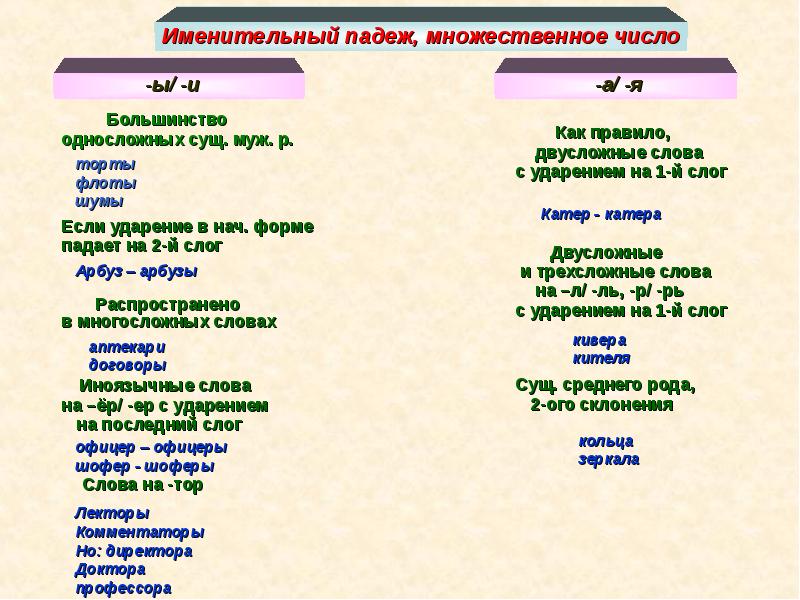 Презентация существительное 10 класс