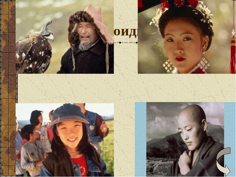 Монголоидная раса Монголоидная раса