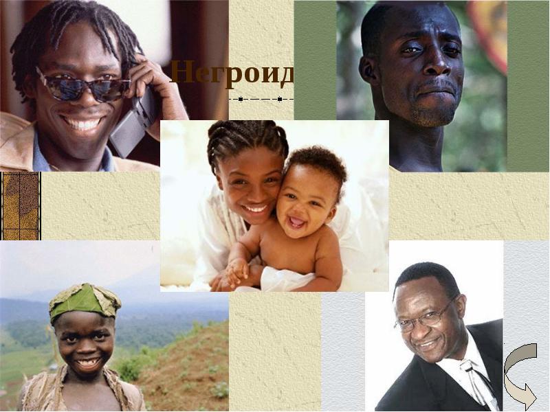 Негроидная раса Негроидная раса