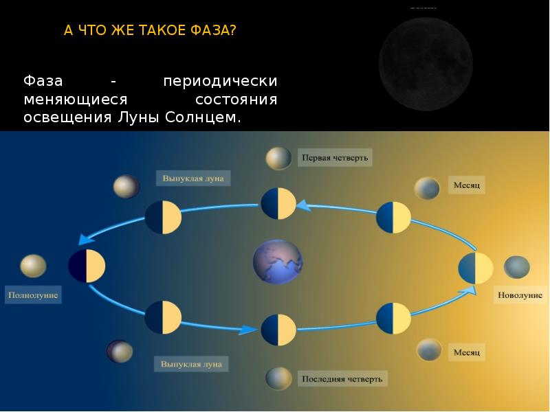 На схеме показаны 8 положений земли и луны относительно друг друга которые