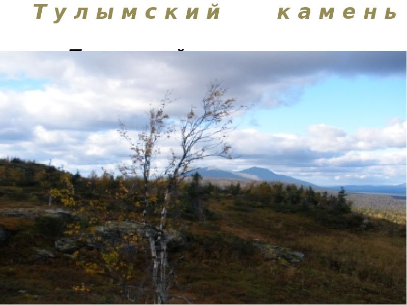 Т у л ы м с к и й Т у л ы м с к и й