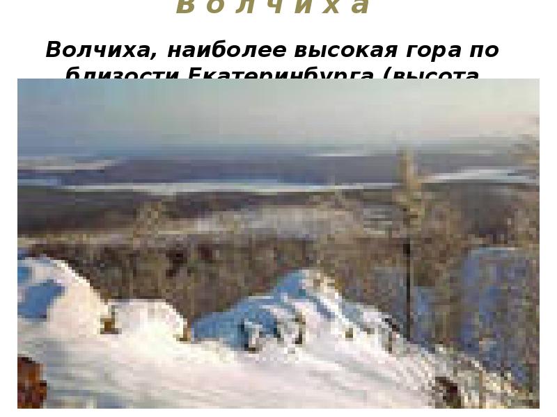 В о л ч и х а Волчиха, наиболее высокая В о л ч и х а Волчиха, наиболее высокая