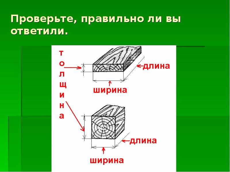 Сечение древесины. Проект по пиломатериалам. Длина и ширина. Презентация брус 1 класс коррекционная школа.