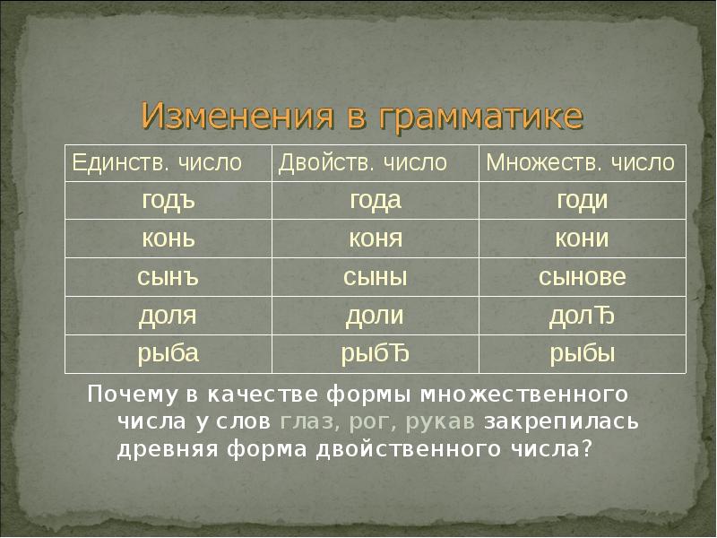 Род в древнерусском языке. Двойственное число в древнерусском языке. Двойственное число существительных в древнерусском языке. Двойственное число примеры. Форма двойственного числа в древнерусском языке.