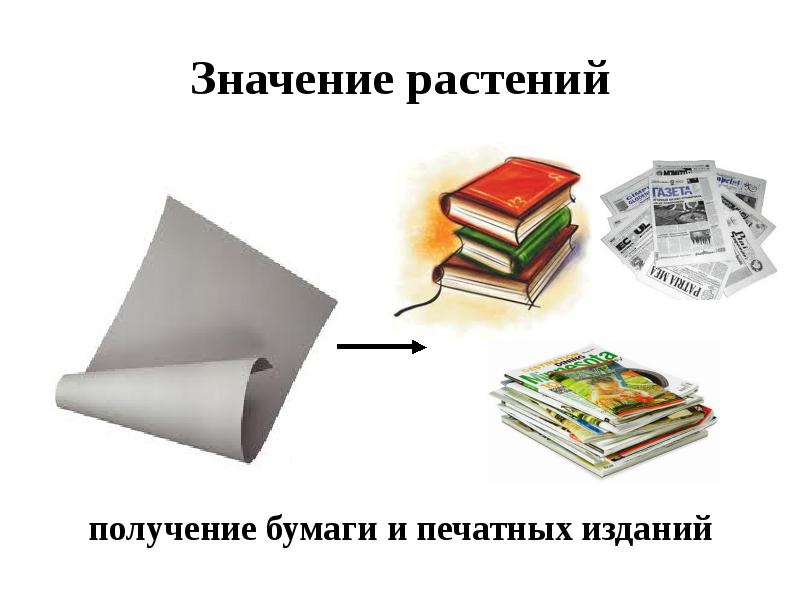 Бумага значение. Значение бумаги. Значение бумаги для человека. Значение бумаги в жизни. Значение растений для человека : производство бумаги.