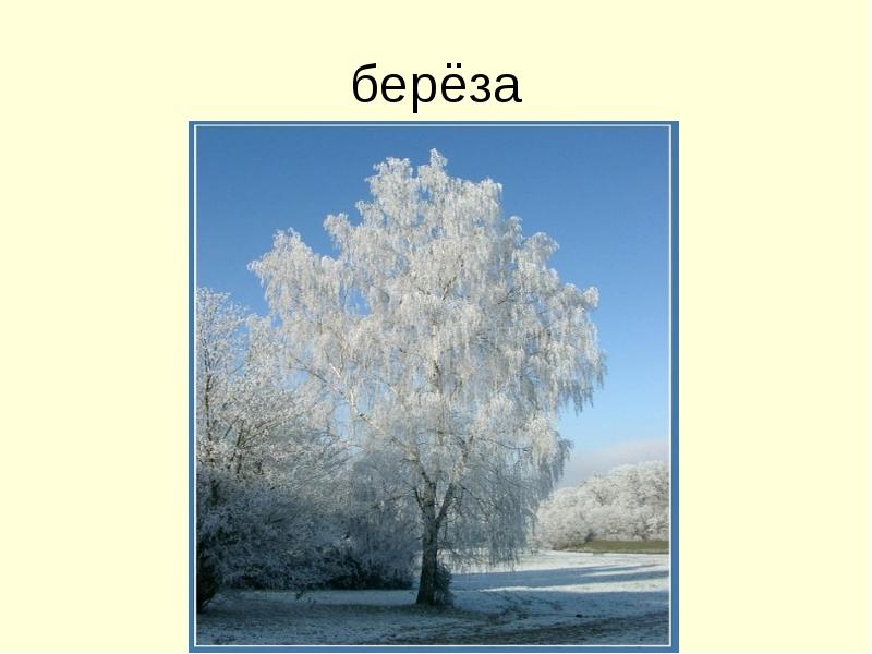 Презентация есенин поет зима аукает береза 2 класс презентация