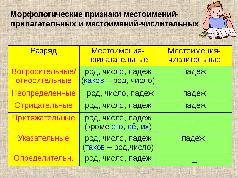 Урок определительные местоимения 6 класс презентация