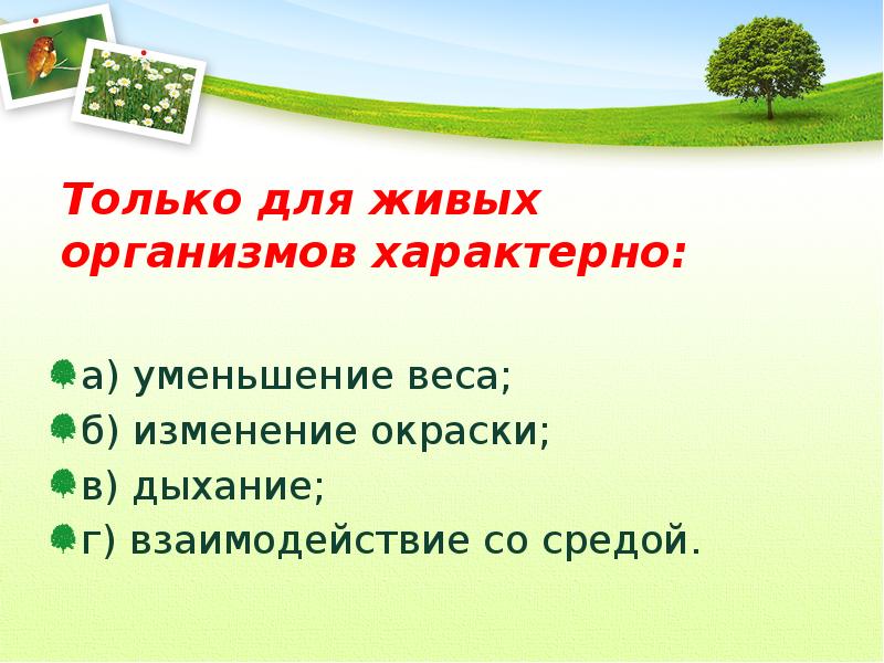 Для всех организмов характерно. Растение живой организм доклад. Простейшие растение презентация. Для здорового организма характерно. Для всех живых организмов характерна способность к.