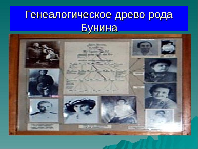 Генеалогическое древо рода Бунина Генеалогическое древо рода Бунина