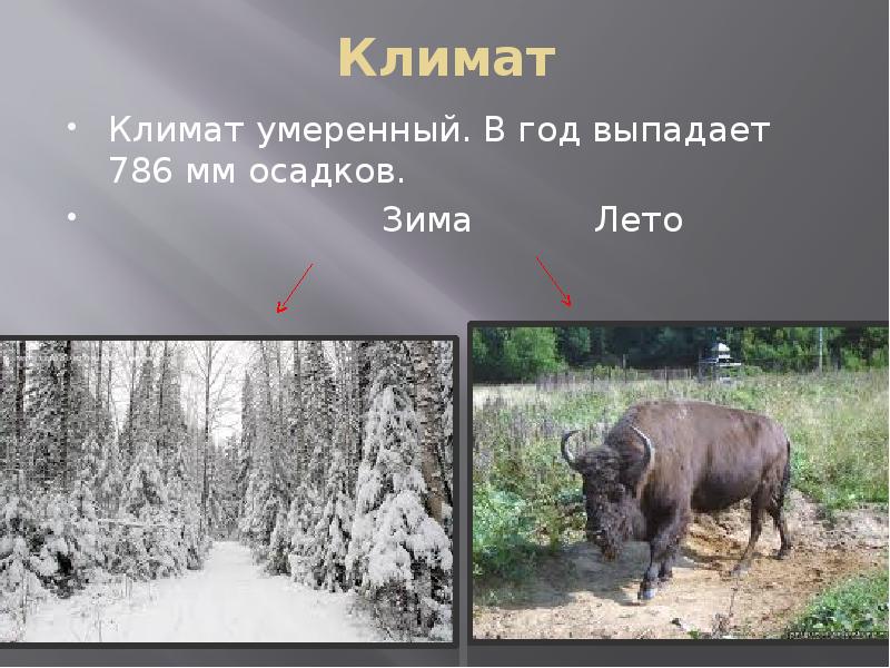 Климат
Климат умеренный. В год выпадает 786 мм осадков. Климат
Климат умеренный. В год выпадает 786 мм осадков.
