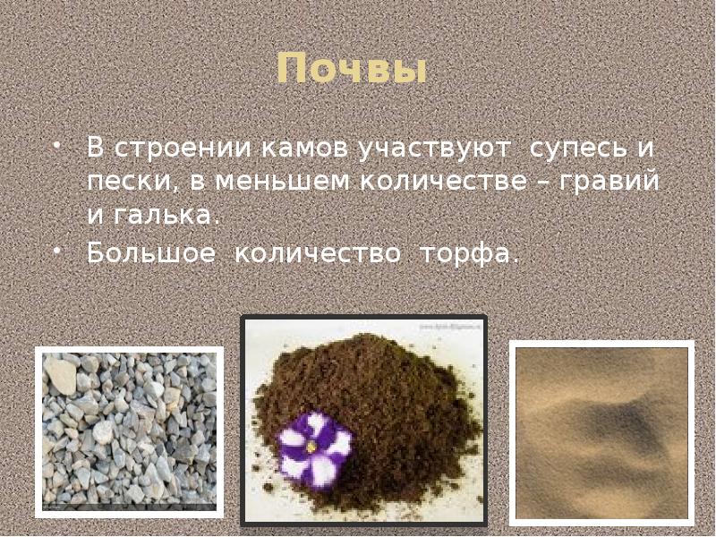 Почвы
В строении камов участвуют супесь и пески, в меньшем Почвы
В строении камов участвуют супесь и пески, в меньшем