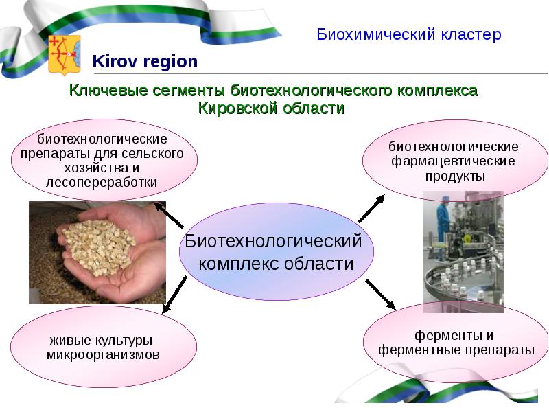 Ключевые сегменты биотехнологического комплекса Кировской области