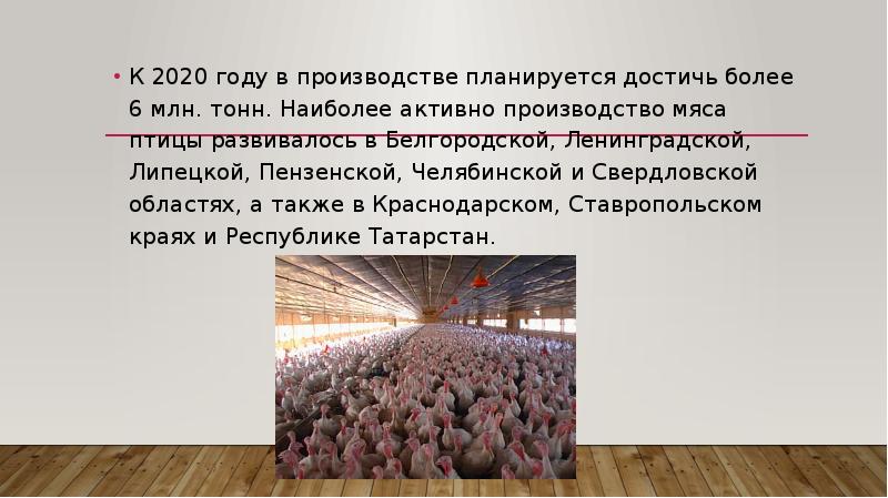 Совокупность продуктов и услуг намеченных к производству в проекте