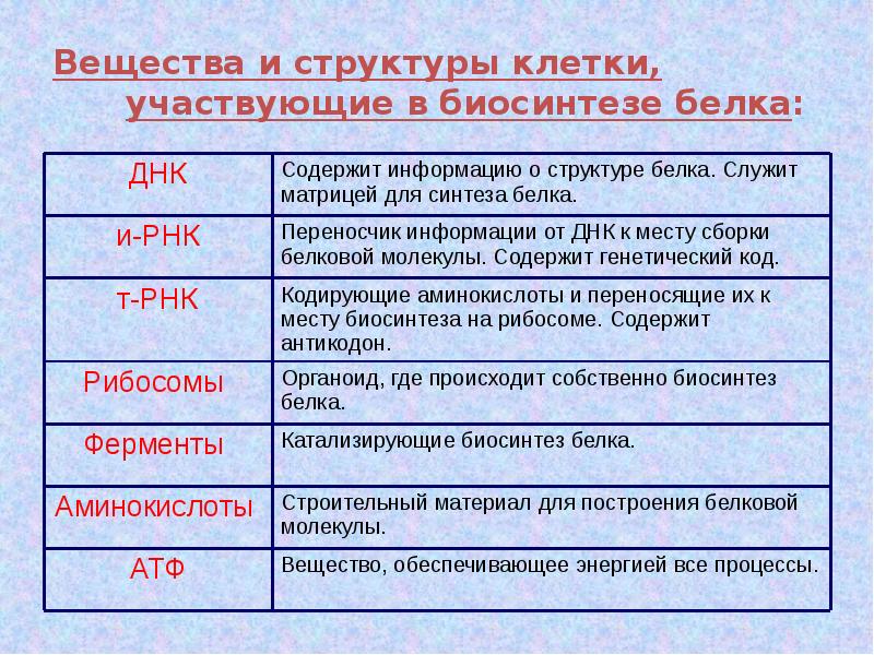 Синтез белка характеристика. Таблица Биосинтез белка биология 9 класс. Таблица Синтез белка по биологии 9 класс. Структуры и вещества необходимые для синтеза белка. Таблица этапы биосинтеза белка биология 9.