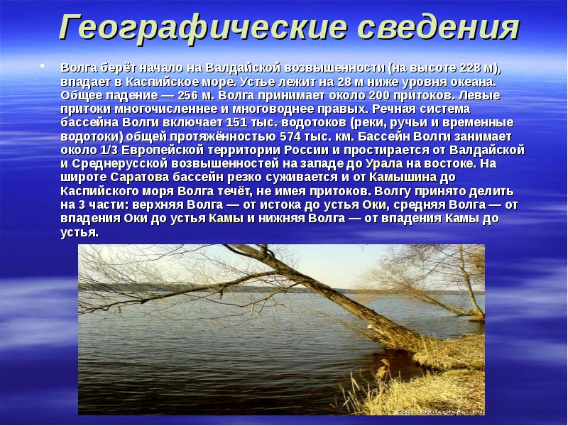 Географические сведения Волга берёт начало на Валдайской возвышенности (на высоте 228