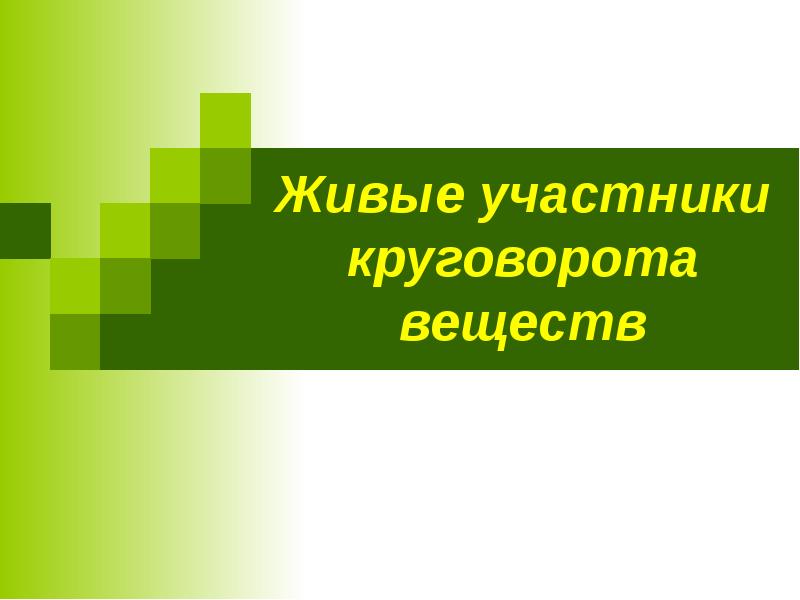 Живой участник. Живые участники круговорота веществ. Живые участники круговорота веществ 3 класс. Участники круговорота веществ 3 класс. Живые участники.