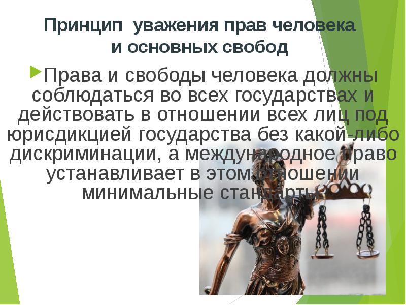 Принцип уважения человека. Принцип уважения прав человека и основных свобод. Принципы права уважение прав и свобод человека. Принцип суважения прав и свобод человек в международном праве. Принцип уважения прав человека в международном праве.