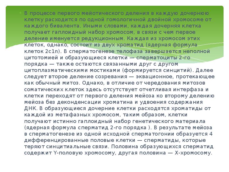 В процессе первого мейотического деления в каждую дочернюю клетку расходится по В процессе первого мейотического деления в каждую дочернюю клетку расходится по