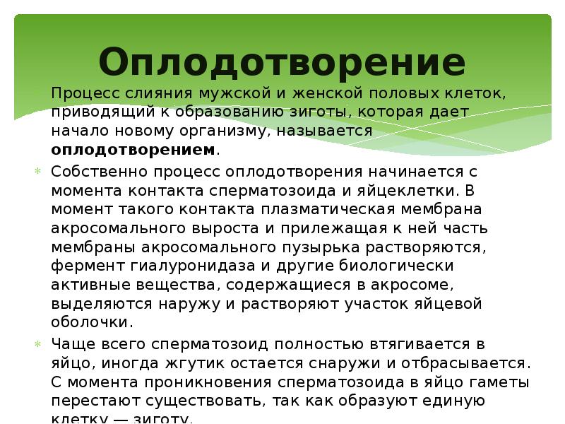 Оплодотворение
Процесс слияния мужской и женской половых клеток, приводящий к образованию Оплодотворение
Процесс слияния мужской и женской половых клеток, приводящий к образованию