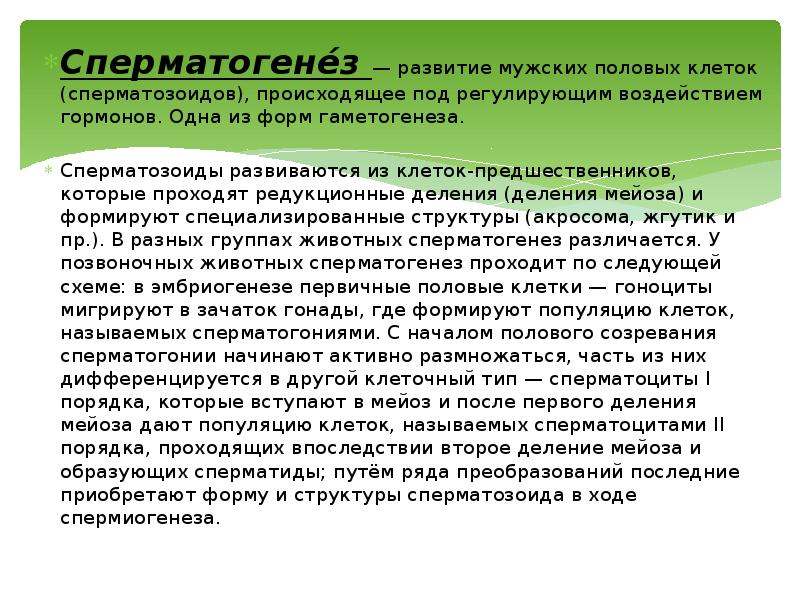 Сперматогене́з — развитие мужских половых клеток (сперматозоидов), происходящее под регулирующим воздействием Сперматогене́з — развитие мужских половых клеток (сперматозоидов), происходящее под регулирующим воздействием