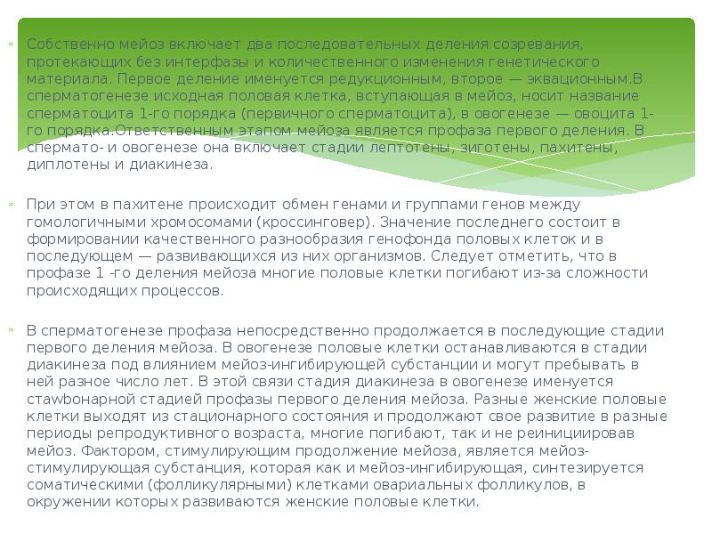 Собственно мейоз включает два последовательных деления созревания, протекающих без интерфазы и Собственно мейоз включает два последовательных деления созревания, протекающих без интерфазы и