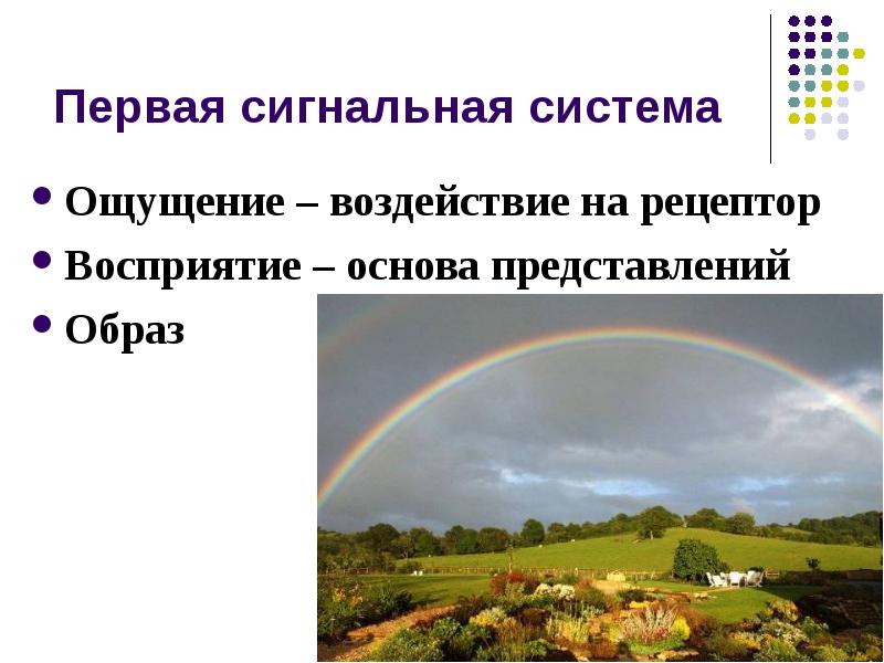 Первая сигнальная система Ощущение – воздействие на рецептор Восприятие – основа