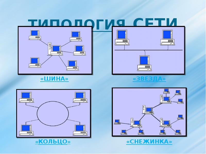 ТИПОЛОГИЯ СЕТИ ТИПОЛОГИЯ СЕТИ