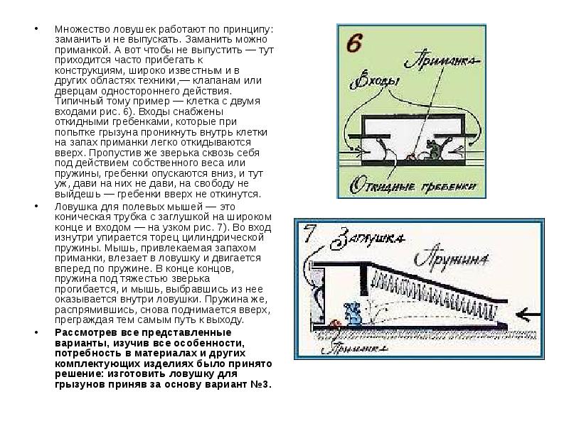 Схема размещения ловушек для грызунов образец