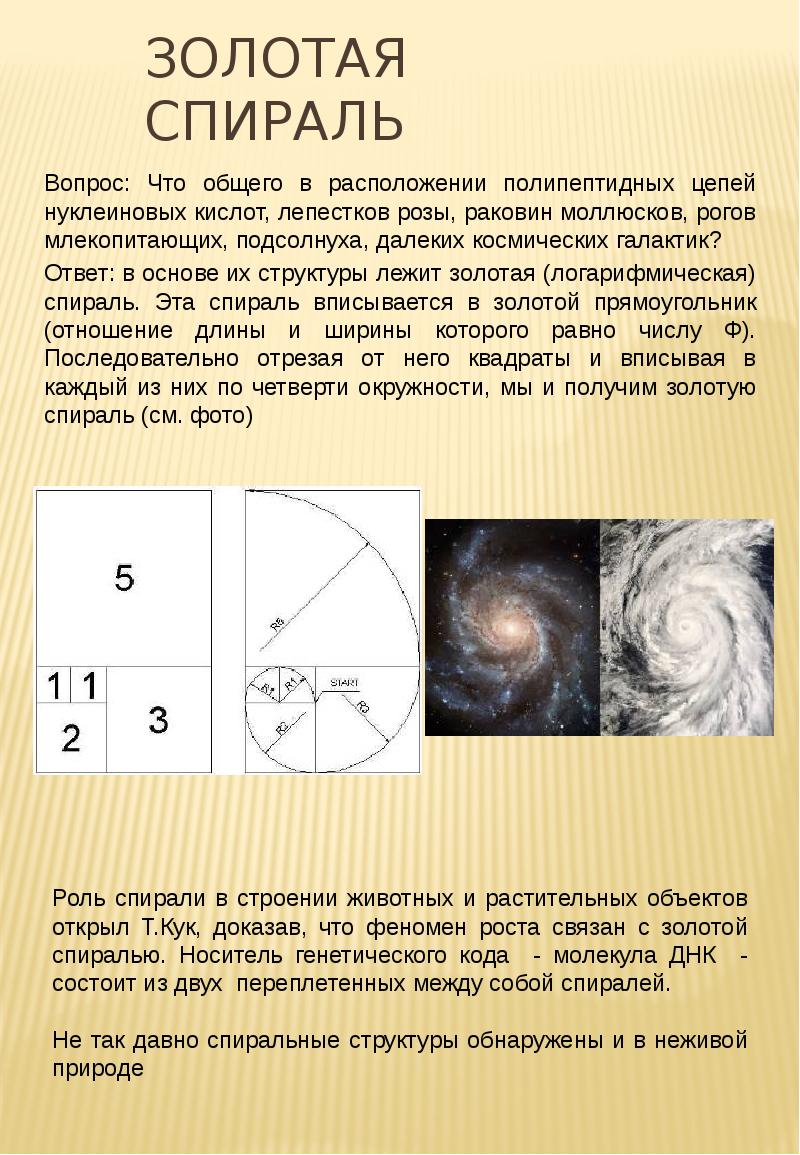 Коэффициент золотого сечения в архитектуре