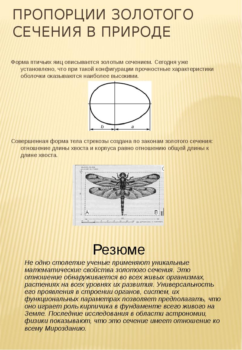 Золотое сечение презентация