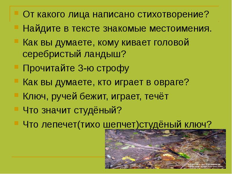 Значение пешком поступью найди в стихотворении