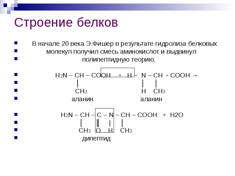 Презентация на тему аминокислоты белки