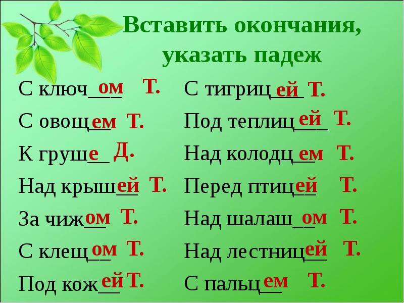 Вставить буквы указать падеж. Правописание ом ем в окончаниях существительных. Существительное с окончанием ошь. Падежные окончания имен существительных тренажер. Окончание ем в существительных.